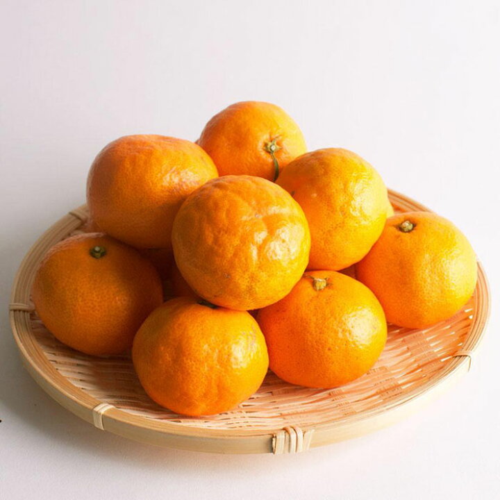 有名な高級ブランド 高糖度温州みかん 約5kg 由良早生 お届け フルーツ 果物 有名な高級ブランド 高糖度温州みかん 約5kg 由良早生 お届け フルーツ 果物