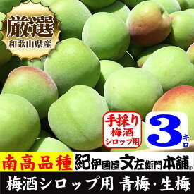 【ふるさと納税】南高梅【緑】3kg ■特大サイズ 梅酒用 フレッシュ青梅 (生梅) ／紀伊国屋文左衛門本舗 | 上富田町 紀州産 青梅 特大サイズ 梅酒用 フレッシュ 人気 おすすめ 青梅 南高梅 生梅 果実加工 和歌山県産 梅仕事 お取り寄せ 送料無料 ふるさと納税