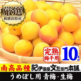 【ふるさと納税】南高梅【完熟】黄色10kg ■特大サイズ 梅干用フレッシュ青梅 (生梅) ／紀伊国屋文左衛門本舗 | 上富田町 紀州産 完熟青梅 特大サイズ 梅干し用 果実加工 人気 おすすめ 青梅 南高梅 和歌山県産 梅仕事 お取り寄せ 送料無料 ふるさと納税