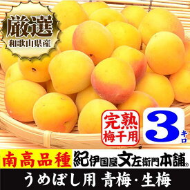 【ふるさと納税】南高梅【完熟】黄色3kg ■特大サイズ 梅干用フレッシュ青梅 (生梅) ／紀伊国屋文左衛門本舗 | フルーツ 果物 くだもの 食品 人気 おすすめ 送料無料 梅ジュース 梅酒 梅干し 梅干用 青梅 生梅