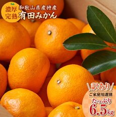 楽天市場 ふるさと納税 ジャンル別お礼の品ランキング みかん
