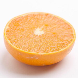 yӂ邳Ɣ[ŁzyIׂeʁzs\ƒp Ƃ 1`10kg+250giݕ⏞jmkEt݂̉lnm킯E󂠂nmZT[IʁEH׍oׁnmIKE63n | yVӂ邳 