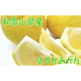 楽天市場 ふるさと納税 みかん フルーツ 果物 食品の通販 楽天市場 ふるさと納税 みかん フルーツ 果物 食品の通販