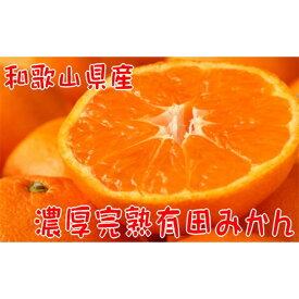 【ふるさと納税】【先行予約】【2021年11月上旬〜下旬発送】【数量限定】濃厚完熟有田みかん(ご家庭用) たっぷり6．5kg【北海道・沖縄配送不可】