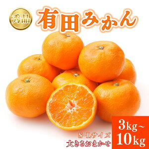 yӂ邳Ɣ[ŁzGi Lc݂ a̎RY S`LTCY 傫C yIׂeʁz 3kg 5kg 10kg yzIׂzy2025N10`2026N1ɏ\z/ ݂ t[c ʕ 