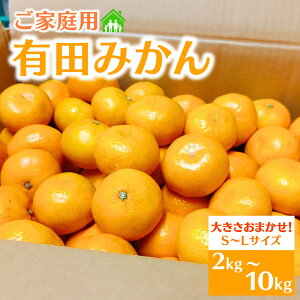 yӂ邳Ɣ[Łz󂠂 ƒp Lc݂ a̎R S`LTCY 傫C yIׂeʁz 2kg 3kg 5kg 10kg yIׂzzy2025N10`2026N1ɏ\z/ ݂ t[c ʕ 