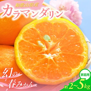 yӂ邳Ɣ[Łz ys\z yt̃~Jz J}_ ƒp S`2LTCY 傫C yIׂeʁz 2kg 3kg 5kg y2025N4{`5{܂łɏ\z/ ݂ t[c 