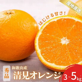 【ふるさと納税】 【先行予約】秀品 きよみ 清見オレンジ 和歌山 有田 S〜2Lサイズ 大きさお任せ 3kg / 5kg【2月上旬～3月下旬頃に順次発送】/ みかん フルーツ 果物 くだもの 蜜柑 柑橘