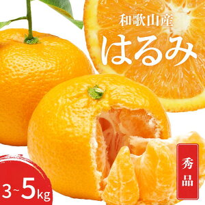 yӂ邳Ɣ[Łz ys\z Gi ͂ a̎R Lc S`2LTCY 傫C yIׂeʁz 3kg 5kg y2026N1{`3{܂łɏ\z/ ݂ t[c ʕ  