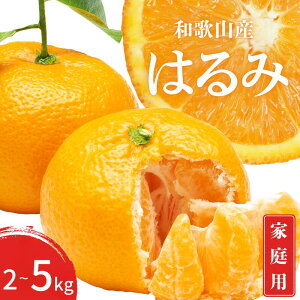 yӂ邳Ɣ[Łz ys\z󂠂 ƒp ͂ a̎R Lc S`3LTCY 傫C 2kg / 3kg / 5kg y1{`3{܂łɏ\z / ݂ t[c ʕ   k