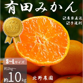 【ふるさと納税】特選 有田みかん 和歌山 S～Lサイズ 大きさお任せ 約2kg 約3kg 約5kg 約10kg【10月上旬～1月下旬頃に順次発送】/ みかん フルーツ 果物 くだもの 有田みかん 蜜柑 柑橘