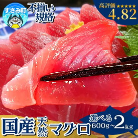 【ふるさと納税】 まぐろ 和歌山のマグロ マグロ好きに高評価★★★★★ 和歌山の天然マグロ 冷凍【訳あり・選べる容量】【600g 1kg 2kg】鮪 ブロック 不揃い 海鮮丼 寿司 漬け丼 海鮮 小分け 刺身 和歌山 すさみ町 キハダマグロ メバチマグロ 本マグロ