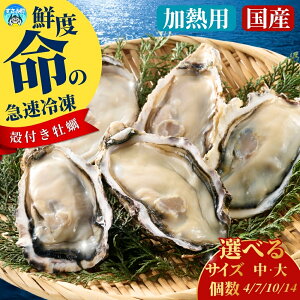 yӂ邳Ɣ[ŁzVoIyʂȋ}ⓀŔ̂܂܁zYⓀy Mp kt yIׂTCYEz y JL CN a̎R ݒ