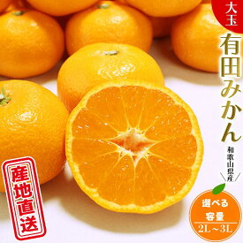 【ふるさと納税】 有田みかん 先行予約 ＼ みかんの名産地 和歌山県産／ 農家直送 大玉有田みかん 【選べる容量】 【5kg 10kg】 (2L〜3L) ひとつひとつ手選別で厳選【11月下旬～翌年1月中旬頃頃順次発送予定】 みかん 温州みかん 柑橘 果物 くだもの フルーツ