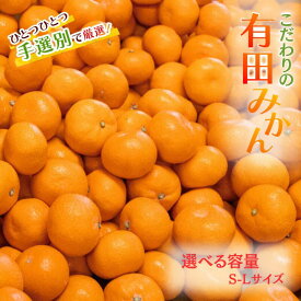 【ふるさと納税】 有田みかん 【先行予約】 こだわりの和歌山県産有田みかん 【選べる容量】 【3kg 5kg】（S～Lサイズ） ひとつひとつ手選別で厳選！生産者から直送 【2025年11月下旬～2026年1月中旬頃順次発送予定】 みかん ミカン 蜜柑 柑橘 果物 フルーツ 温州みかん