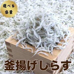 yӂ邳Ɣ[Łz炷 Iׂe / VX I ①ցւ̔zs