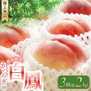 yӂ邳Ɣ[Łz y\tz ̉l P Gi ꂵHׂe yIׂeʁz3 2kg y2026N6`2026N7ɏ\zi͂wsj/ P t[