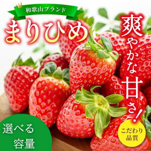 yӂ邳Ɣ[Łz ys\z ܂Ђ  12`15 yIׂeʁz500g 1kg2026N1{`2026N3{ɏ\i͂wsj/  a̎R t[c ʕ 