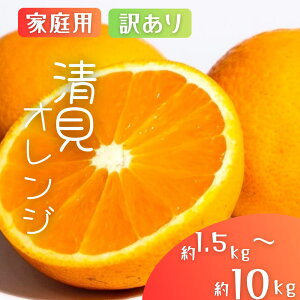 yӂ邳Ɣ[ŁzY IW  I IW yƒpE󂠂z 1.5kg / 2kg / 4.5kg / 6kg / 8kg / 10kg a̎RY TCY ykCEEzszy2026N2