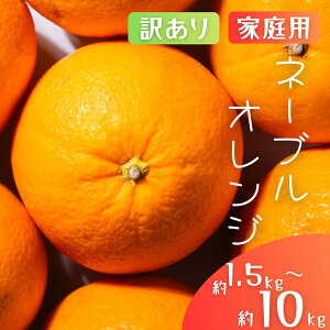 yӂ邳Ɣ[ŁzY IW  X{_̎I l[uIW yƒpE󂠂z 1.5kg / 2kg / 4.5kg / 6kg / 8kg / 10kg a̎RY TCY ykCEEz