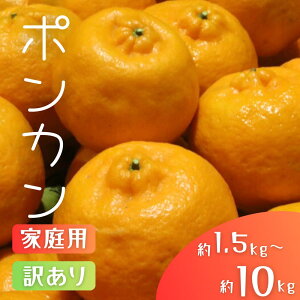 yӂ邳Ɣ[Łz X{_̎I |J 1.5kg a̎RY TCY yƒpz y2026N1{`2{ɏzۂ񂩂 a̎R k t[c  ʕ