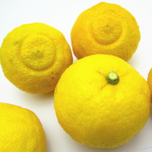 yӂ邳Ɣ[Łz1{`ys\zyƒpIʁzLc炿 ͂邩 ݂i󂠂 ƒpjyIׂeʁz 2026N1{`3{ɏ\