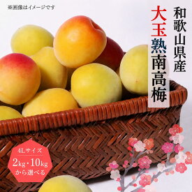 【ふるさと納税】【先行予約】【梅干・梅酒用】【選べる容量】熟南高梅 大玉4L秀優混合 ＜2027年6月上旬～7月7日発送予定＞（お届け日指定不可）/ 梅 生梅 南高梅 青梅 完熟 梅干し 和歌山県 紀州 梅酒 梅ジュース 梅シロップ うめ ウメ