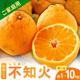 【ふるさと納税】 訳あり 不知火 【デコポンと同品種】 家庭用 ファミリー層 【先行予約】 2026年2月～順次発送予定【選べる内容量】1kg 2.5kg 5kg 7.5kg 10kg / しらぬい デコポン みかん 柑橘 くだもの フルーツ オレンジ