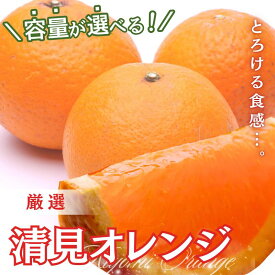 【ふるさと納税】＜2月より発送＞厳選 清見オレンジ 1kg 2.5kg 5kg 7.5kg 10kg （傷み補償分）【光センサー食頃出荷】【樹上完熟きよみオレンジ・清見タンゴール・清美】＜2026年2月～3月下旬ごろに順次発送＞ ※北海道・沖縄への配送不可 / オレンジ 清見 みかん くだもの