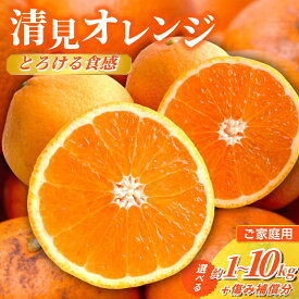 【ふるさと納税】＜2月より発送＞家庭用 清見オレンジ 1kg 2.5kg 5kg 7.5kg 10kg （傷み補償分付）【光センサー食頃出荷】【樹上完熟きよみオレンジ・清見タンゴール・清美】【わけあり・訳あり】＜2026年2月～3月下旬ごろに順次発送＞ ※北海道・沖縄・離島への配送不可