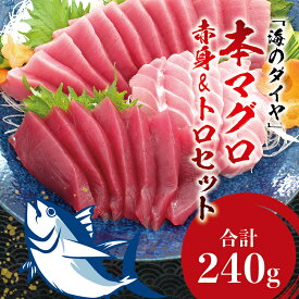 【ふるさと納税】本マグロ（養殖） トロ＆赤身セット 240g / 中トロ 中とろ まぐろ マグロ 鮪 赤身 丼 じゃばら まぐろ丼 マグロ丼