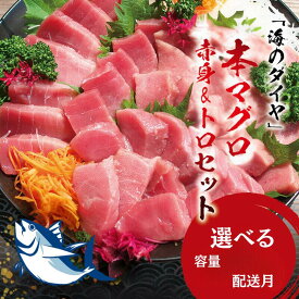 【ふるさと納税】【配送時期が選べる】 本マグロ（養殖）トロ＆赤身セット 【選べる容量】500g 1350g 3kg / 中トロ 中とろ まぐろ マグロ 鮪 赤身 柵 丼 魚 海鮮 海の幸 冷凍 限定 高級