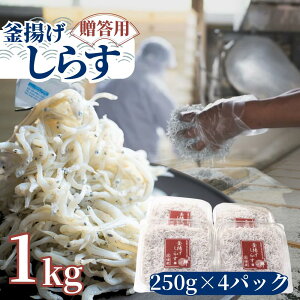 yӂ邳Ɣ[Łz 䥂łĊg炷 1kg(250g×4pbN) y①zyⓀz/ 炷 g炷 VX C CN   VN