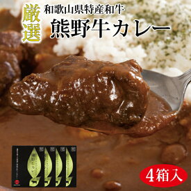 【ふるさと納税】熊野牛カレー 4箱