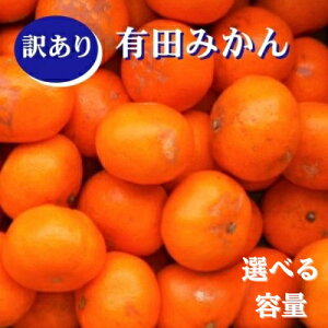 yӂ邳Ɣ[ŁzIBLc݂ yIׂeʁz5kg 10kg 󂠂 LY ƒp TCY / ݂ Lc݂ ~J ʕ  k ƒp A 󂠂i Lc