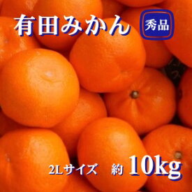 【ふるさと納税】紀州有田みかん 秀品 約10kg 2Lサイズ ※2025年11月下旬～2026年1月中旬頃発送予定 / みかん ミカン くだもの 果物 フルーツ 柑橘 オレンジ 有田みかん 有田