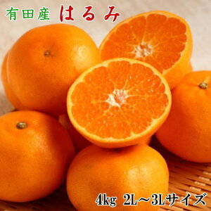 yӂ邳Ɣ[ŁzyIEZzIBLcŶ͂ 4kg (2L`3LTCY܂) ys\z2026N1{`2026N2{ɏ\i͂wsj/ ݂ ͂ 