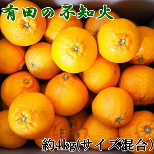 yӂ邳Ɣ[Łzys\zyZzLcYsmΖ4kg yIׂTCYz2026N2{`2026N3{\i͂wsj