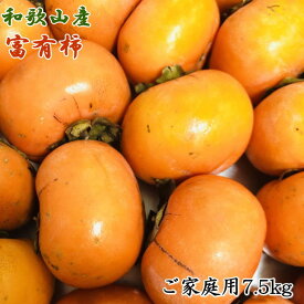 【ふるさと納税】和歌山産 富有柿 ご家庭用 約 7.5kg ※ 2025年11月上旬～2025年12月上旬頃発送 （お届け日指定不可）/ 柿 かきカキ 果物 フルーツ 和歌山 すさみ町 富有カキ