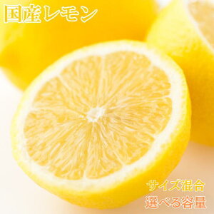 yӂ邳Ɣ[ŁzyYza̎RY yIׂeʁziTCYj3kg 5kg  2026N3{5{\i͂wsj /   EG ʕ k t