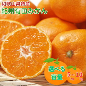 【ふるさと納税】 [秀品] 和歌山有田みかん 【選べる容量】約5kg 約9kg 約10kg ※2025年11月中旬～2026年1月中旬頃に順次発送予定(お届け日指定不可) / みかん 有田みかん 柑橘 フルーツ 果物 和歌山 オレンジ ミカン 人気 予約販売 おすすめ柑橘 くだもの