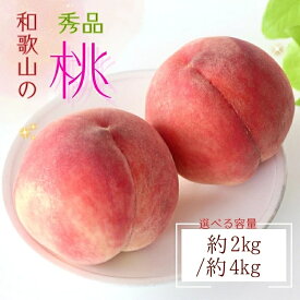 【ふるさと納税】【農園直送】朝採れ和歌山の桃・秀品【2027年度発送分】【選べる容量】※2027年6月下旬～8月上旬頃順次発送 / もも フルーツ 果物 ジューシー くだもの ギフト 人気 贈り物 贈答 プレゼント 元 和歌山 モモ 【選べる容量】