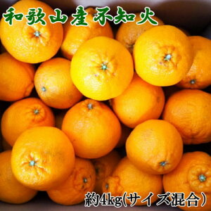 yӂ邳Ɣ[Łza̎RYsmΖ4kgiTCYj@2026N2{`2026N4{\i͂wsj