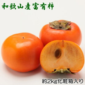 【ふるさと納税】［厳選・産直］和歌山産 の 富有柿 約2kg（化粧箱入り）（2L〜4Lサイズ）※ 2025年11月上旬～2025年12月上旬頃発送（お届け日指定不可）/ かき 柿 カキ くだもの フルーツ 果物 和歌山 すさみ町
