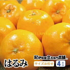 【ふるさと納税】はるみ 約4kg/サイズおまかせ　※2027年1月下旬～2027年3月中旬頃に順次発送予定(お届け日指定不可)　紀伊国屋文左衛門本舗