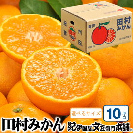 【ふるさと納税】田村みかん 特選ギフト品 10kg【選べるサイズ】赤秀 /紀州和歌山有田郡湯浅町田村地区産 ◆2025年11月下旬〜2026年1月中旬頃に発送(お届け日指定不可)　紀伊国屋文左衛門本舗 / みかん ミカン 柑橘 果物 フルーツ オレンジ 有田 田村 果実