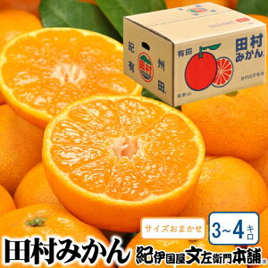 yӂ邳Ɣ[Łzc݂ Gi yIׂeʁz3kg 4kg TCY܂ /IBa̎RLcS󒬓cnY 2025N11{`2026N1{ɔ(͂ws)@Iɍq