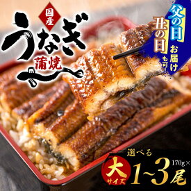 【ふるさと納税】 ＜本数が選べる＞【大型サイズ】ふっくら柔らか 国産うなぎ蒲焼き【1尾・2尾・3尾】化粧箱入り / 鰻 うな重 うな丼 ひつまぶし プレゼント ギフト 贈り物 贈答 お祝い ご褒美 ご家庭にも