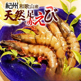 【ふるさと納税】 紀州和歌山産天然足赤えび 【選べる容量】 540g 540g×2 化粧箱入 ※2026年12月上旬頃〜2027年2月上旬頃順次発送予定（お届け日指定不可）／海老 エビ えび クマエビ 足赤 天然 おかず 赤エビ 赤えび 甲殻類 海鮮 貝 足エビ