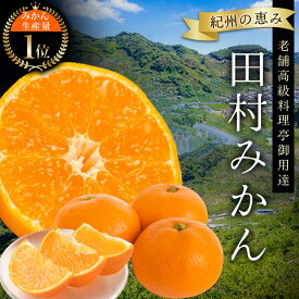 【ふるさと納税】 高級ブランド 田村みかん 【選べる容量】3kg 5kg 10kg / みかん 有田みかん ブランドみかん 温州みかん 産地直送 柑橘 果物 フルーツ 新鮮 旬 先行 【予約】※2025年11月下旬頃〜2026年1月下旬頃に順次発送(お届け日指定不可)